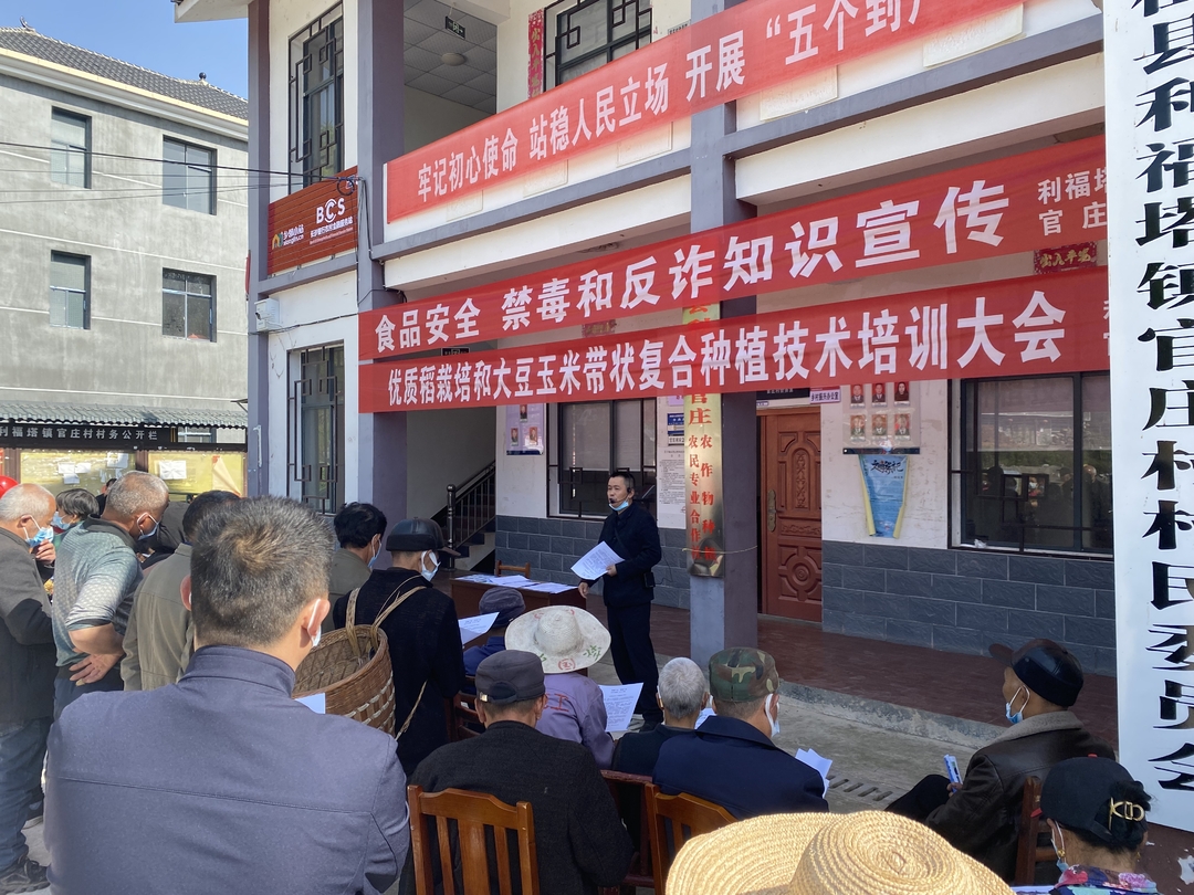 利福塔镇官庄村：推广玉米大豆复合种植助增收