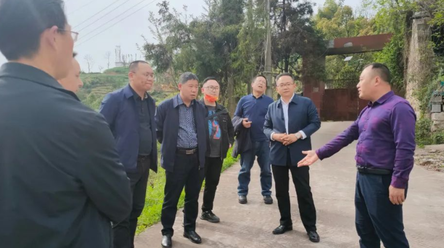 钟照寰调研“棚改清零”工作和洪湖路项目建设情况
