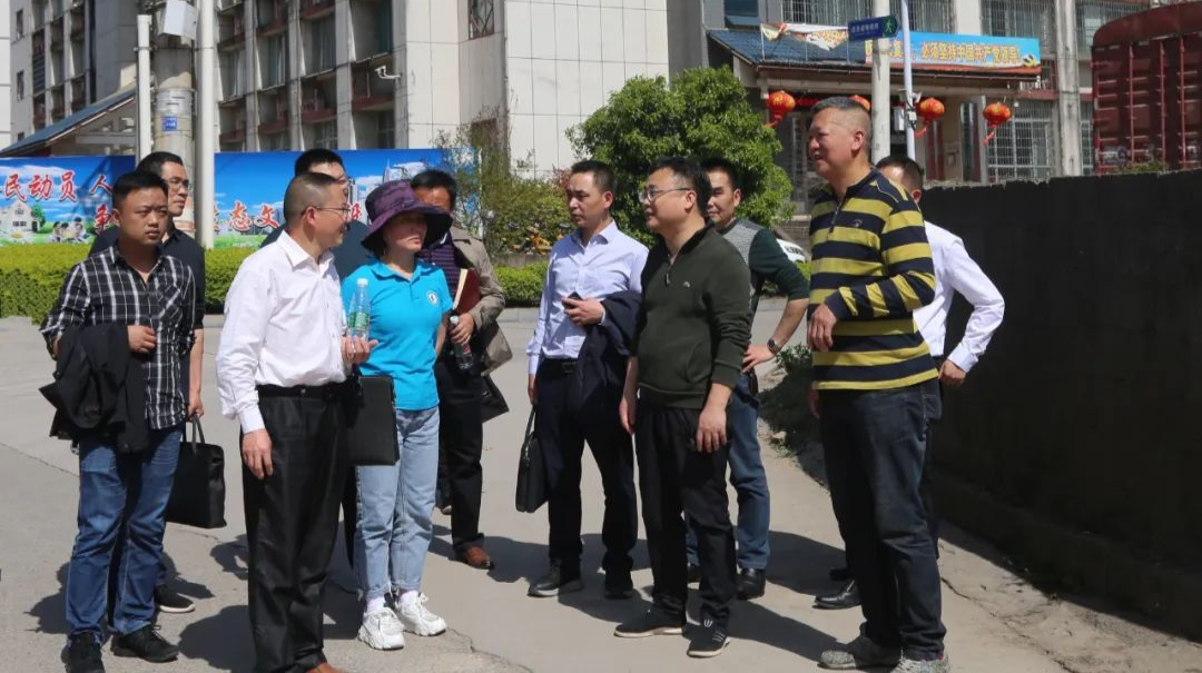 曹飞调研城区市容市貌工作
