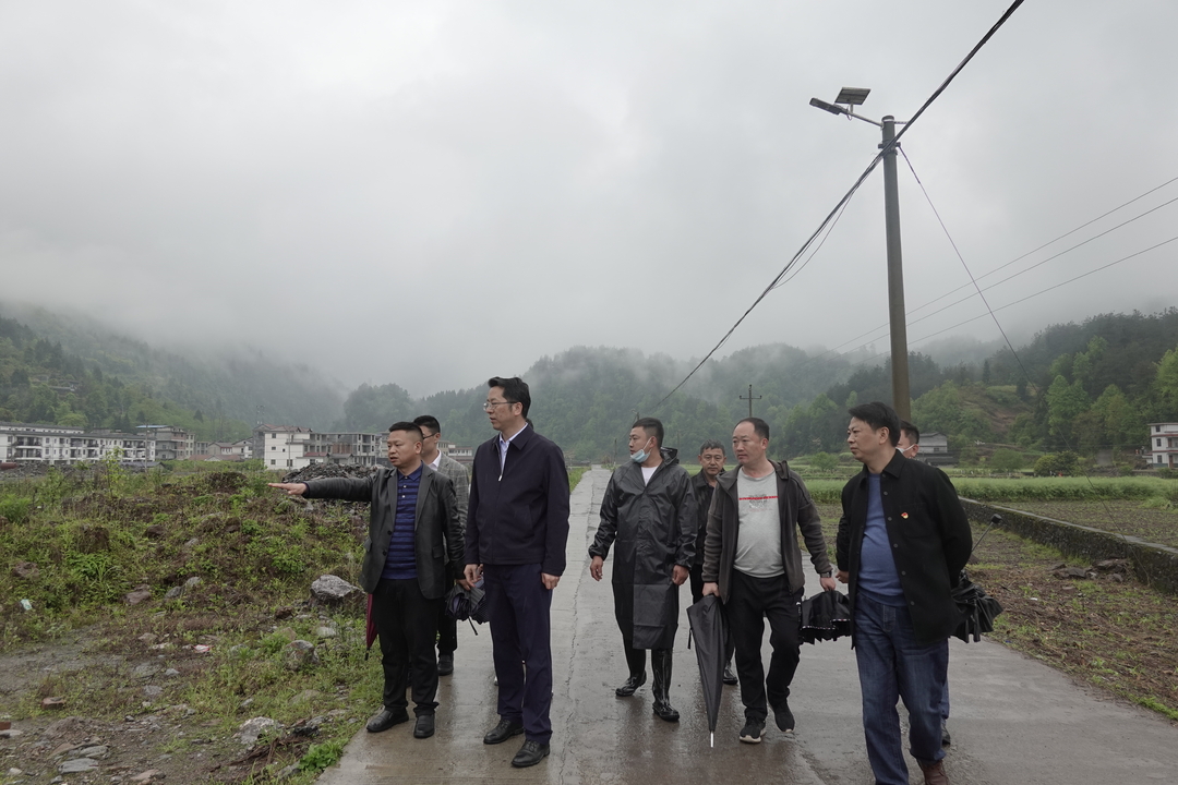 生态文明丨朱星春：以林长制、河长制筑牢乡村振兴绿色生态基底