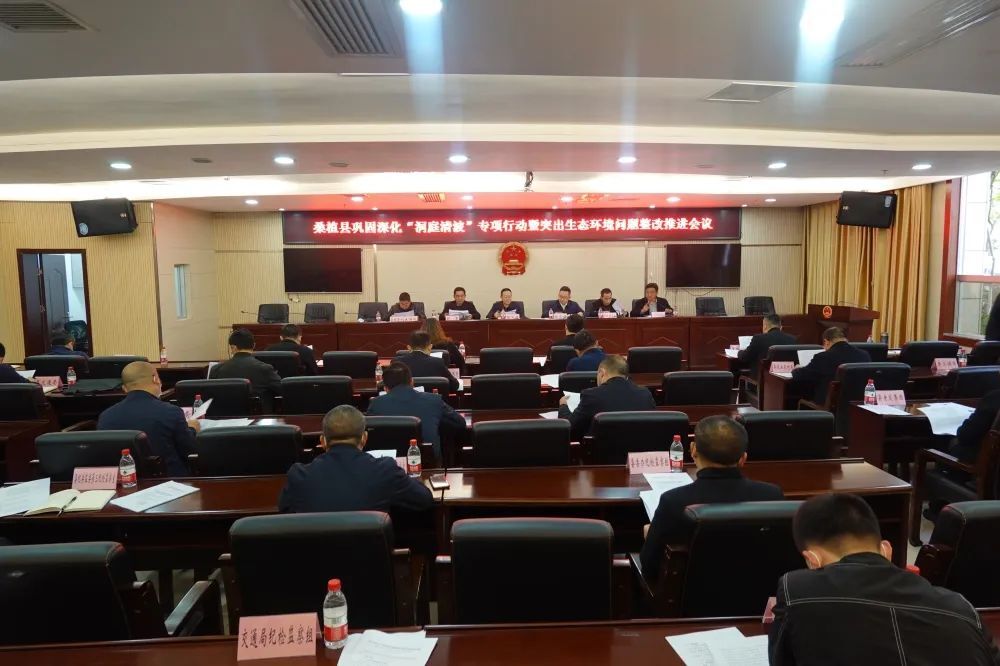 桑植县：巩固深化“洞庭清波”专项行动 推进突出生态环境问题整改