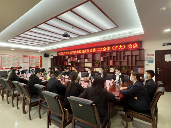 共青团桑植县第十六届委员会第二次全体（扩大）会议召开