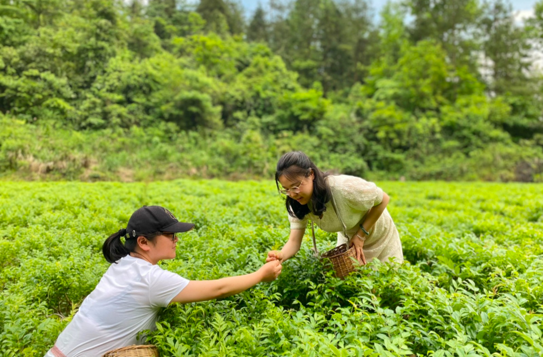 八大公山镇：凝聚巾帼力量 助力乡村振兴