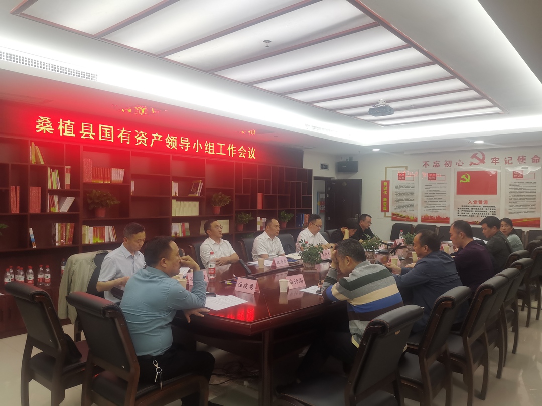 桑植县国有资产领导小组工作会议召开