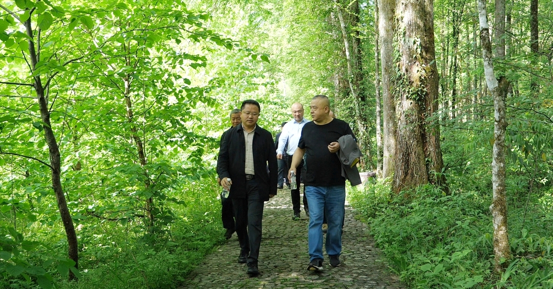 张家界市自然保护地和国有林场高质量发展座谈会召开