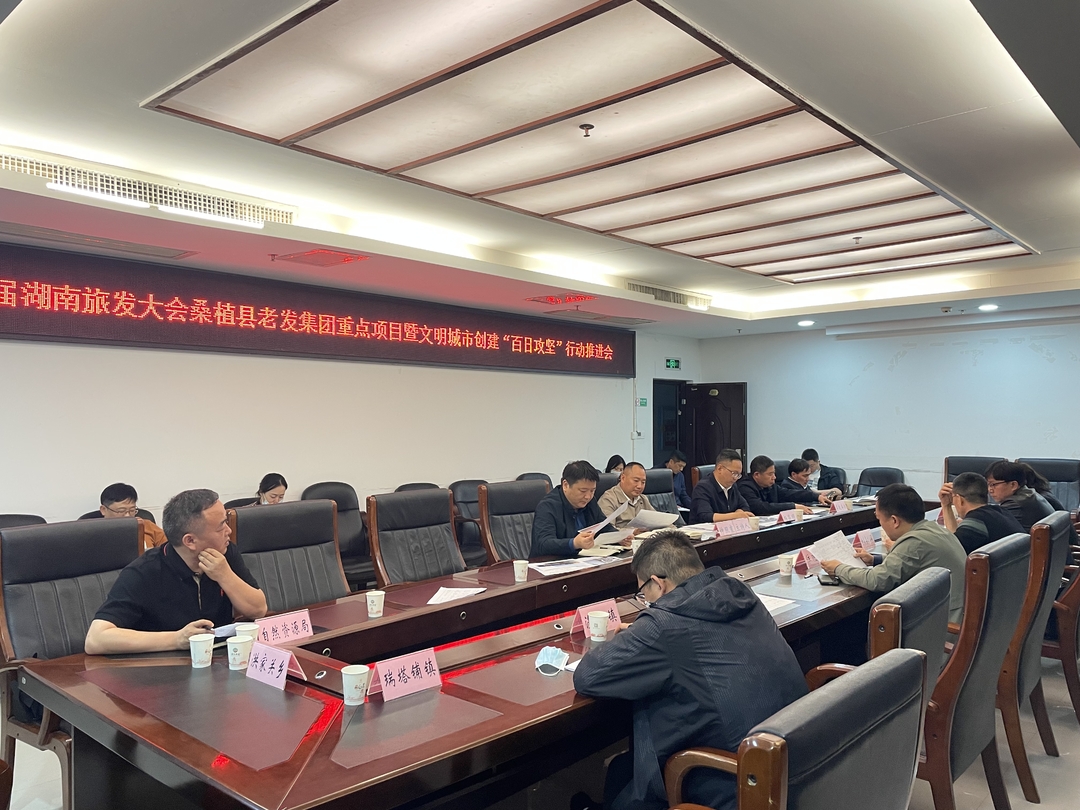 办好旅发会 一起向未来丨桑植全力冲刺“百日攻坚”行动