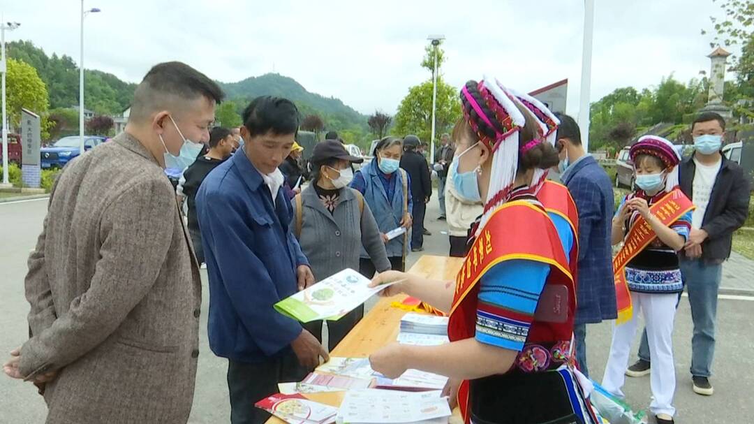 食品安全丨刘家坪白族乡开展食品安全宣传活动