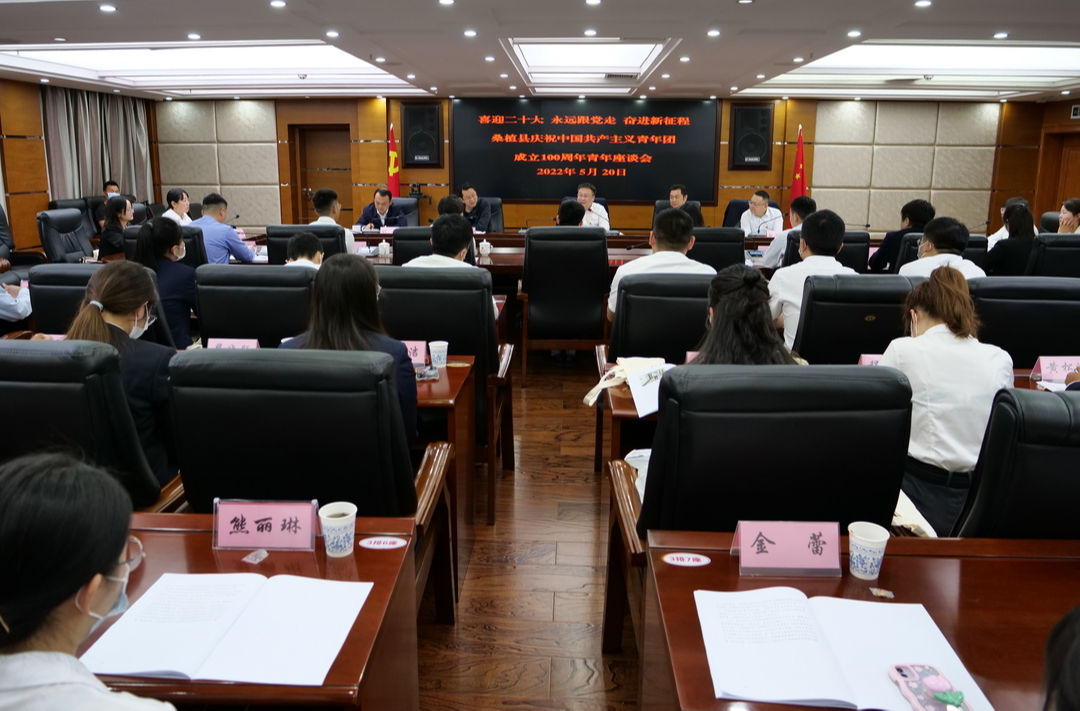 桑植县召开庆祝建团100周年青年座谈会
