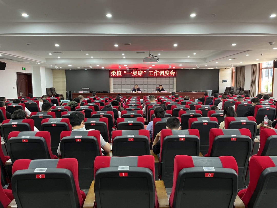 张冲：办好桑植“一桌席”打造多彩文化新名片