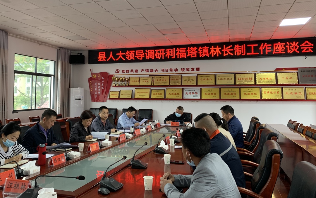 阙玉英调研林长制工作