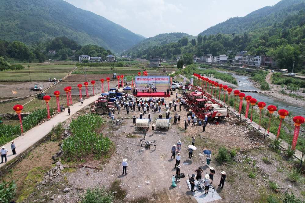 桑植县开展粮油生产全程机械化演示