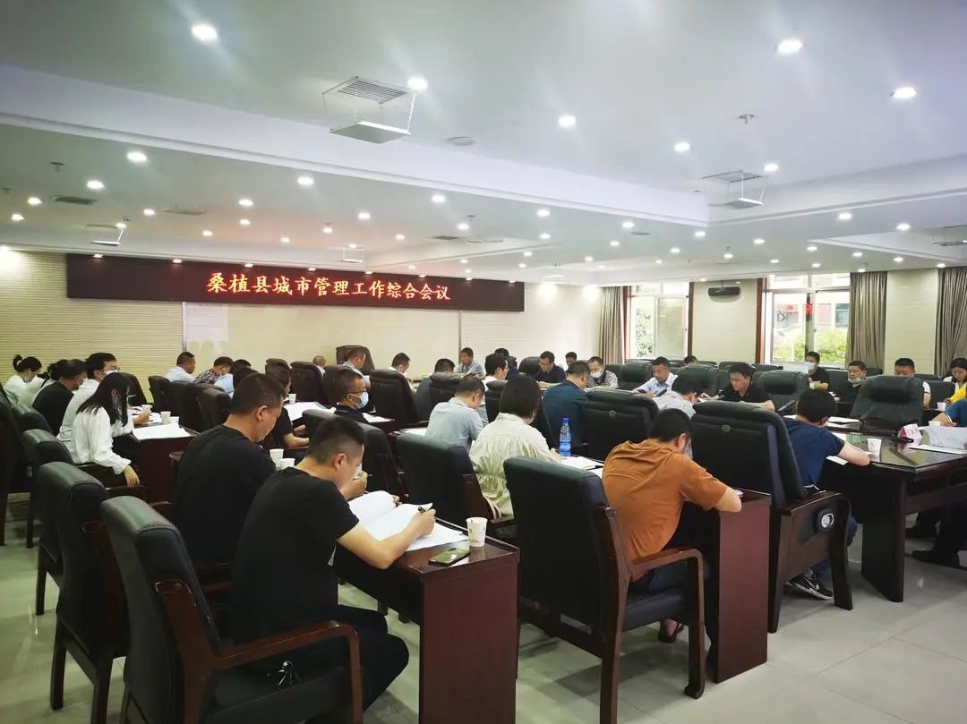 桑植县调度城市管理工作