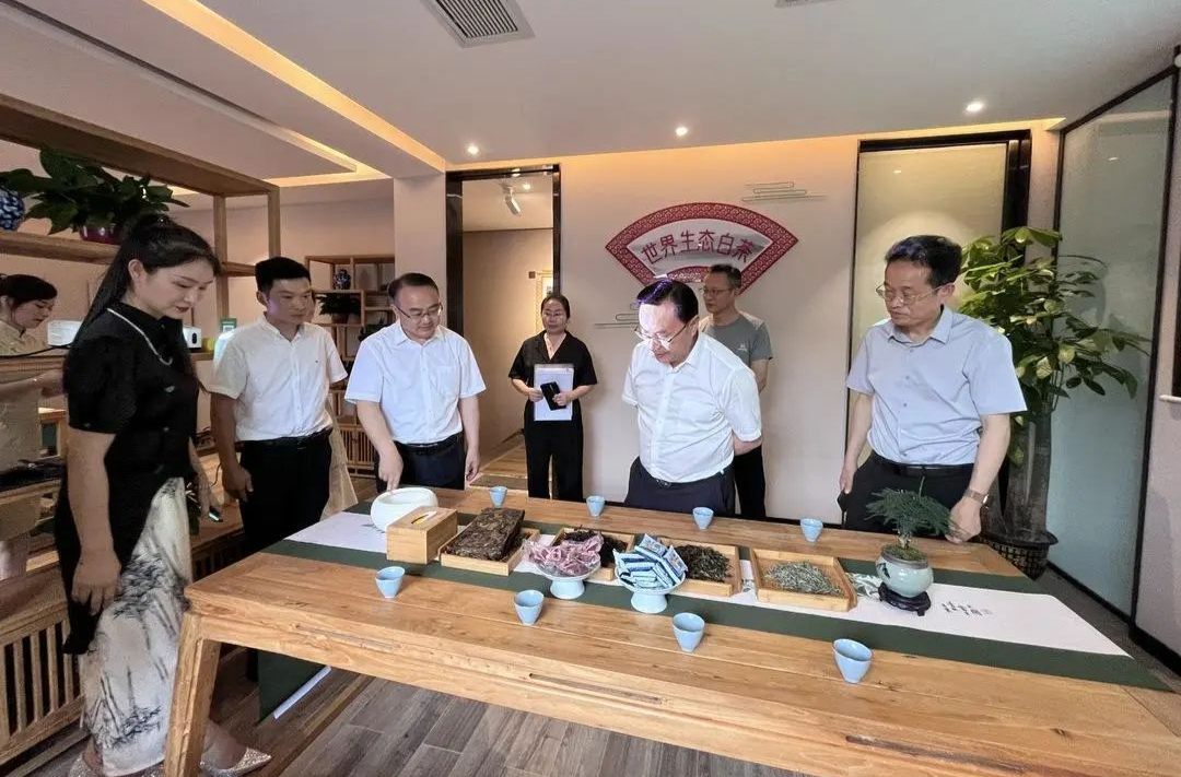 刘仲华院士到桑植白茶全国运营中心调研