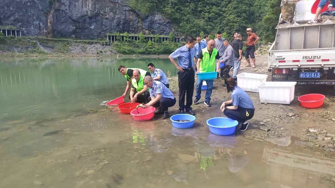 生态文明丨桑植县非法捕捞案增殖放流4万余尾