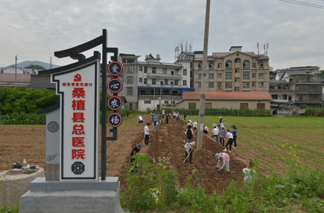 桑植县总医院开展“医心耕沃土·硕果献爱心”活动