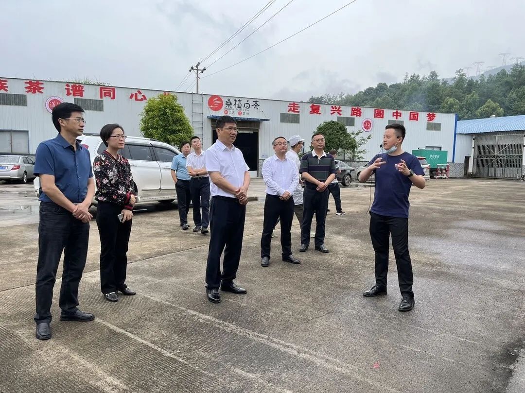 杨洪峰来桑调研企业生产经营及项目建设推进情况