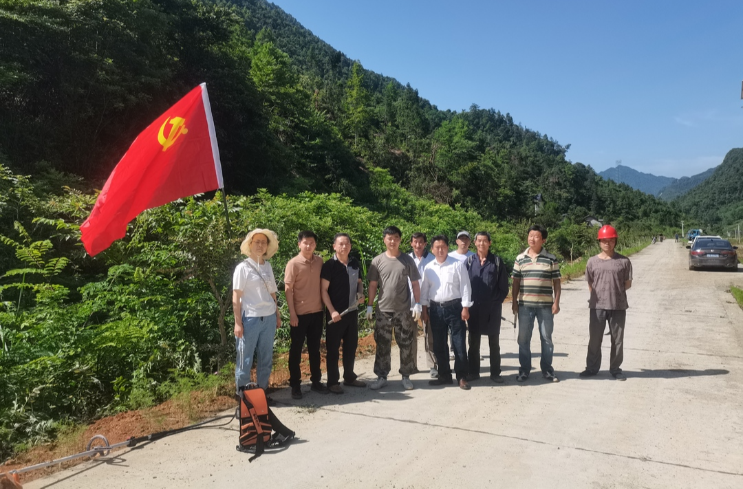 夹石河村：党旗下的村庄“美化师”