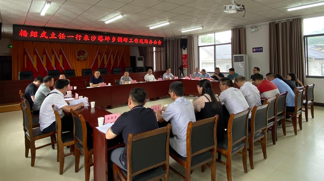 乡村振兴丨杨绍武到沙塔坪乡调研