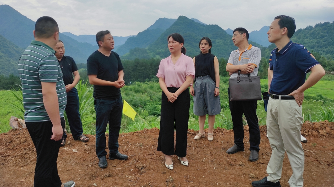 王茂蓉到何家界调研红色文旅项目建设情况