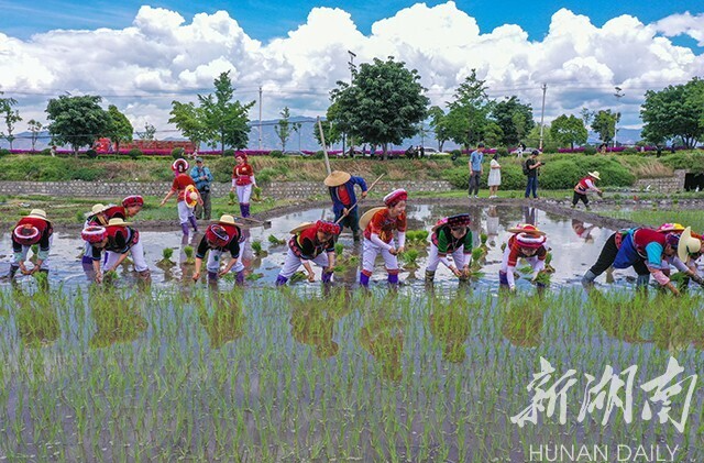 深度丨700年前，他们因战乱远离故土；如今，后代重回故土与亲人共话桑麻……