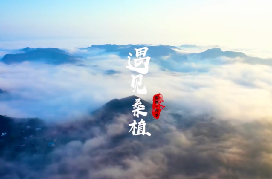 遇见桑植丨南滩的四季