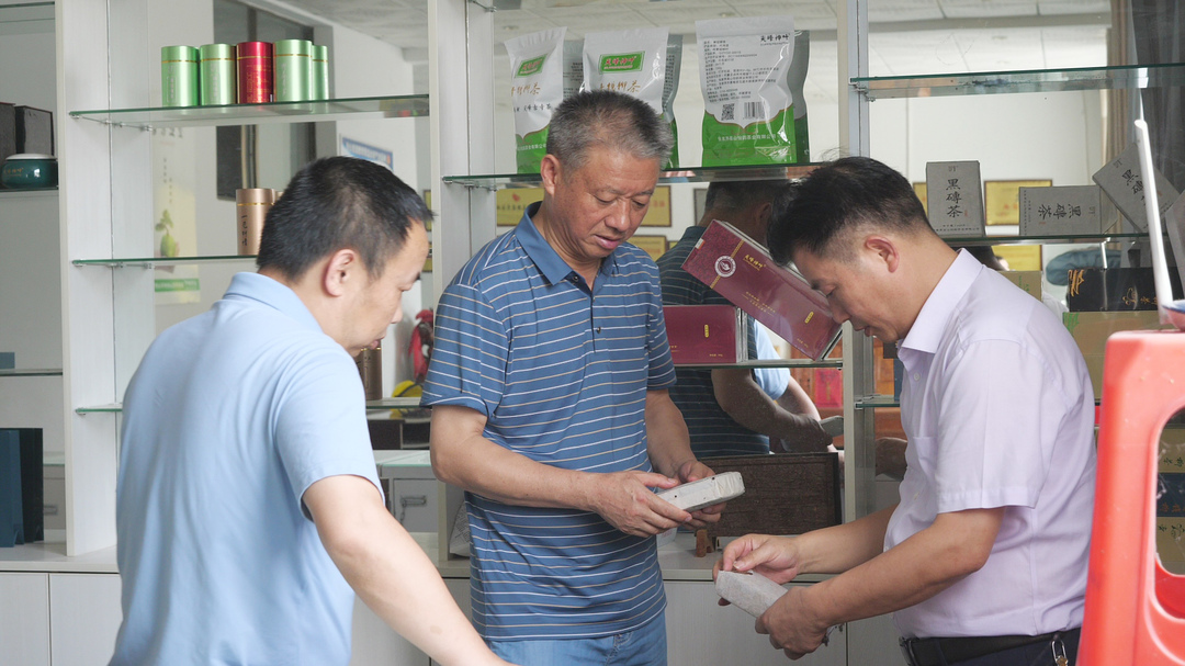 省茶叶产业技术体系首席专家包小村来桑调研指导