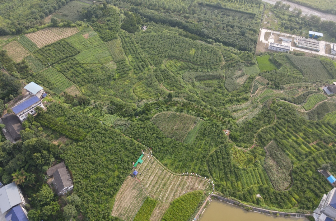 助力旅发会 文艺向前行——桑植县陈家河镇首届蟠桃会正式开幕