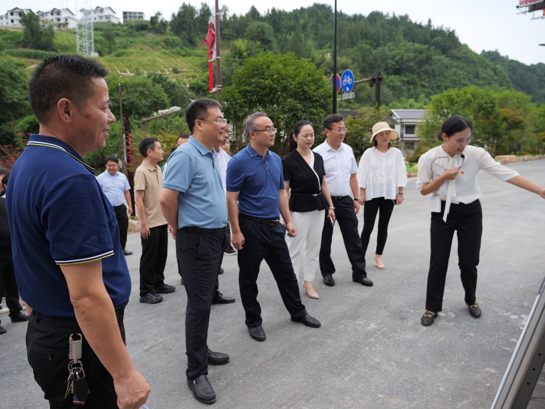曹飞带队到武陵源区考察学习“美丽屋场”建设