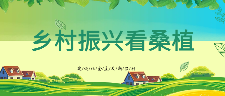乡村振兴看桑植