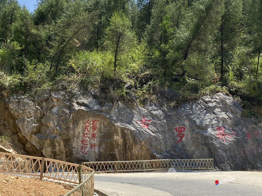 乡村振兴看桑植丨龙潭坪镇古罗界村：共建“美丽屋场”  推进乡村振兴