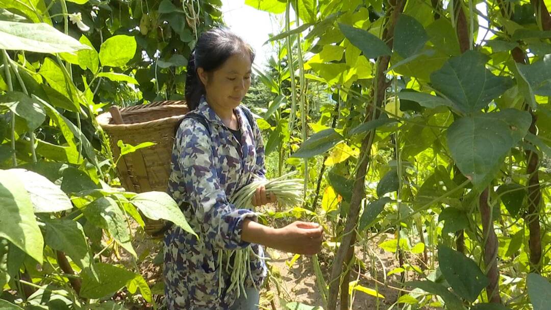 白族农家女谷发浓获评“湘融湘爱·最美农民工”