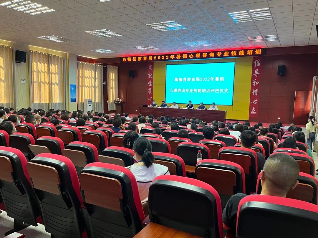 桑植县教育局开展暑期心理咨询师专业技能培训