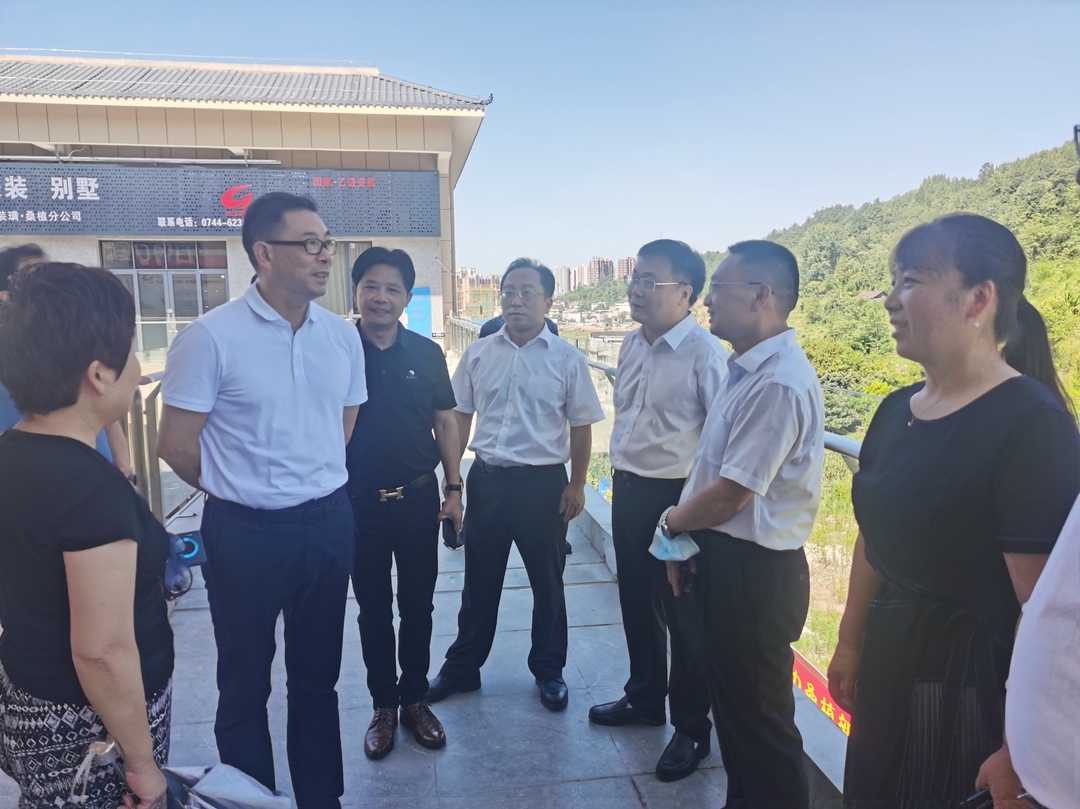 省商务厅党组副书记谭平来桑调研县域商业体系建设工作