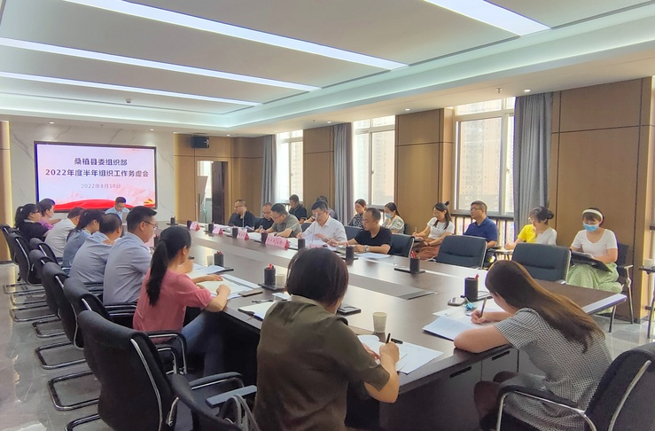 县委组织部召开2022年度半年组织工作务虚会