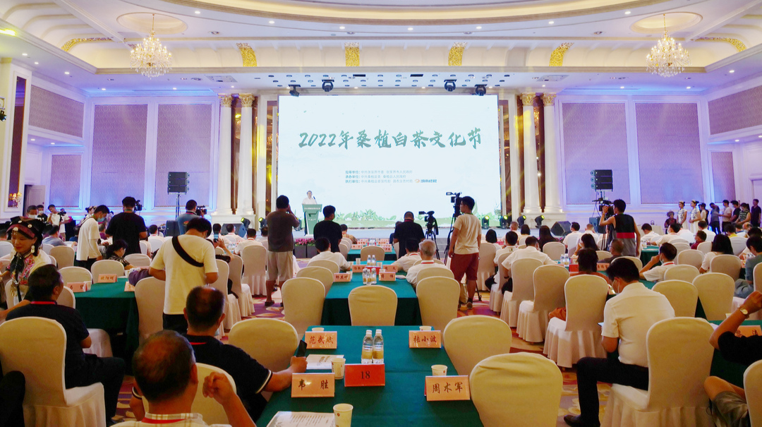 2022年桑植白茶文化节在张家界市举行