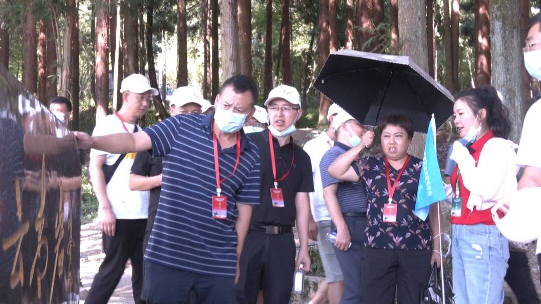 湘鄂渝黔旅发会成员开展张家界红色旅游融合发展线路考察活动