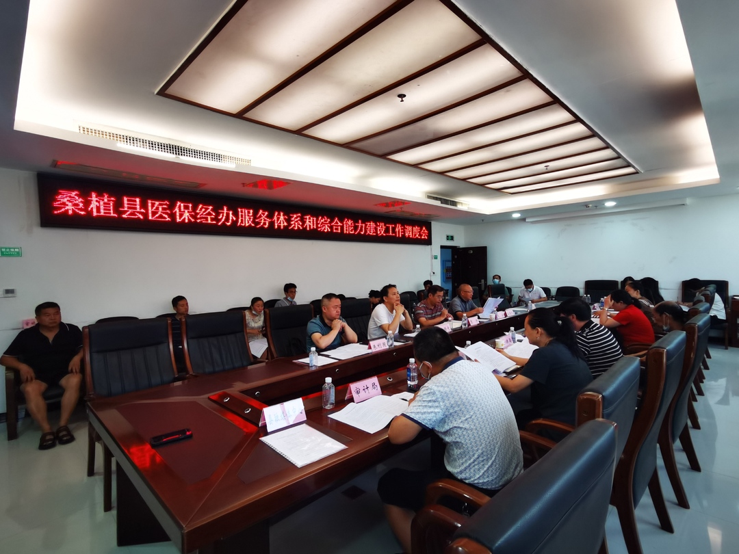 桑植县调度医保经办服务体系和综合能力建设工作