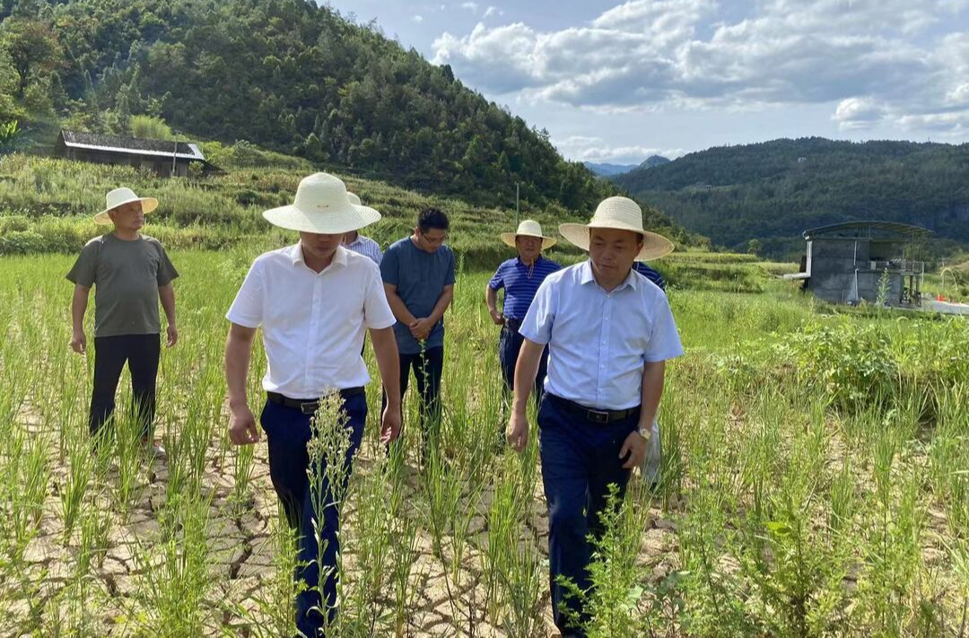 廖国豪赴桑植县调研指导抗旱救灾工作