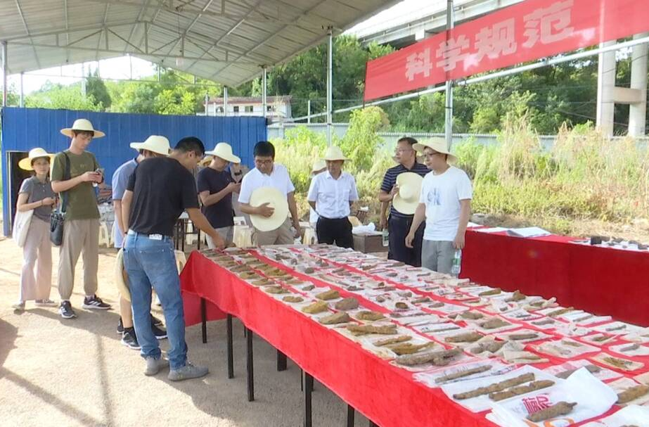 桑植县官田遗址最新进展 铁器出土数量较多