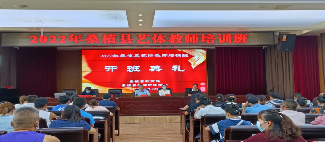 2022年桑植县艺体教师培训顺利举办