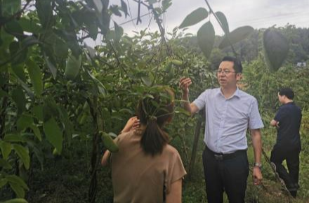 朱星春调研指导防汛抗旱工作