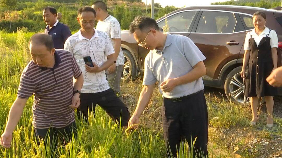 杨绍武到沙塔坪乡督导抗旱减灾、森林防火工作