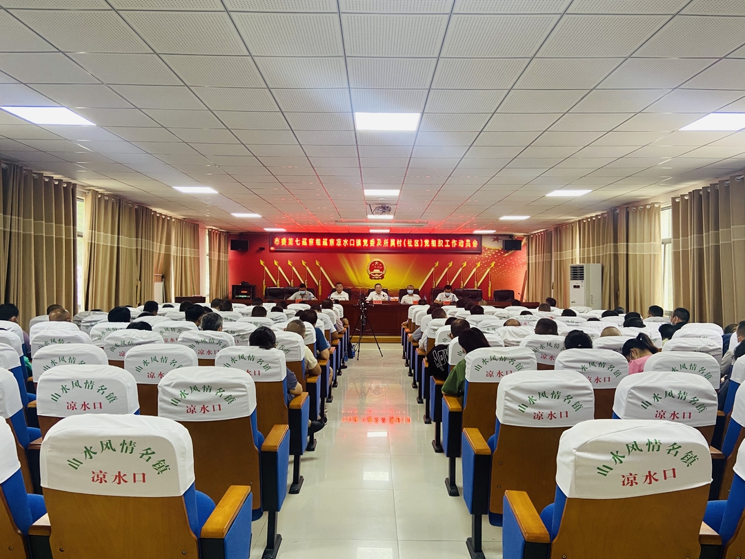 市委第七巡察组巡察凉水口镇党委工作动员会召开