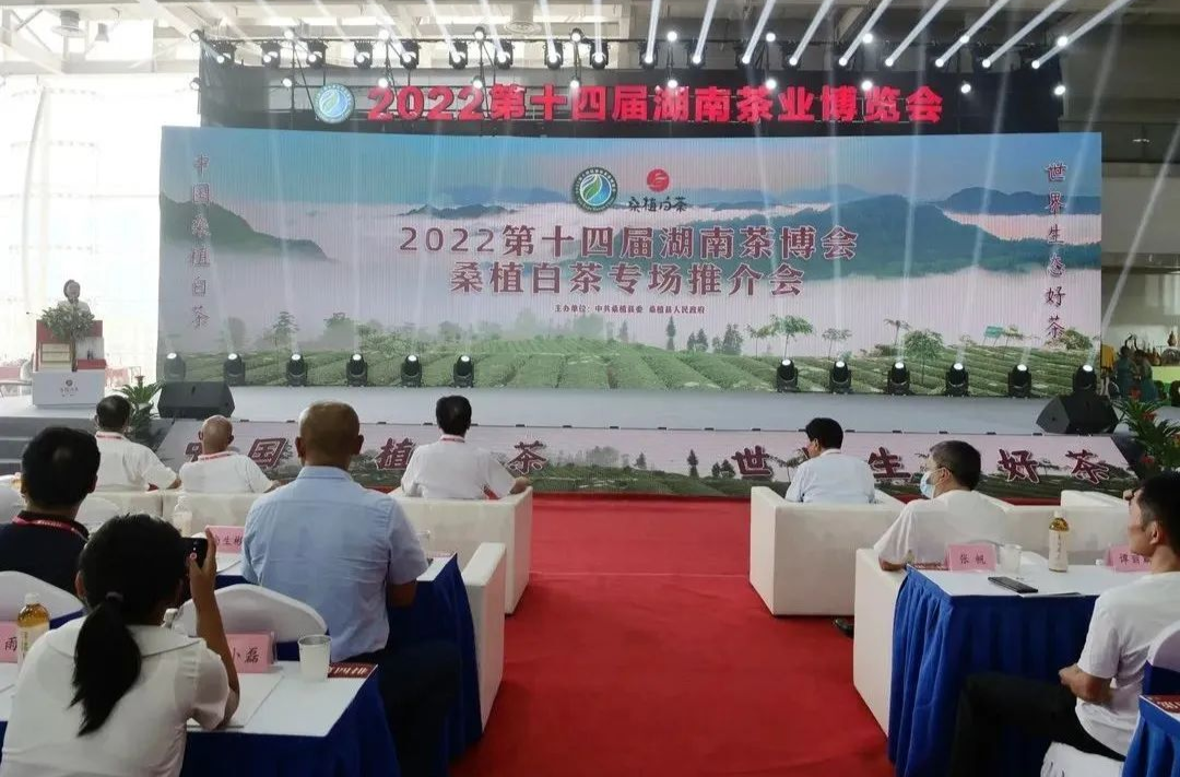 民歌唱响茶博会 桑植白茶带着“风花雪月”来见你