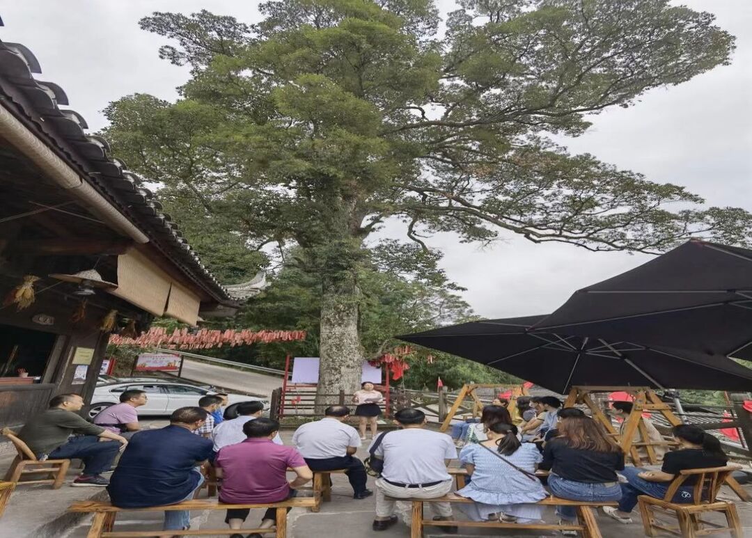 桑植县司法局开展“旅发有我先锋行”红色研学活动