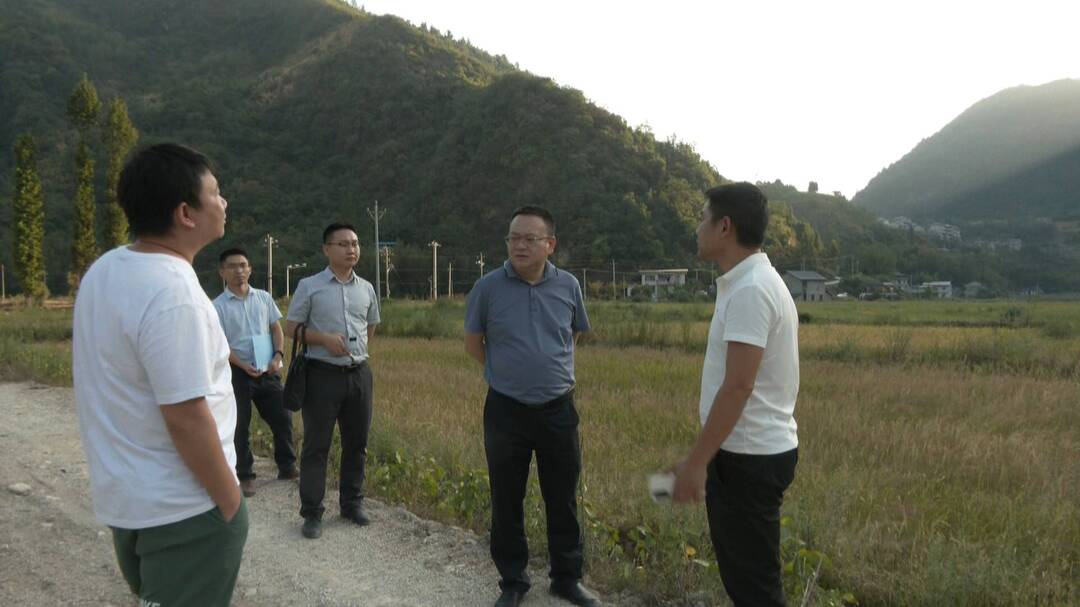 张金华调研竹叶坪乡抗旱防火、安全生产工作