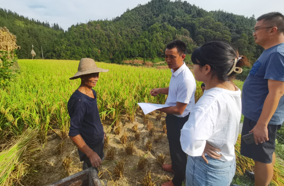 河口乡：用脚步丈量山林 筑牢森林防火“铜墙铁壁”