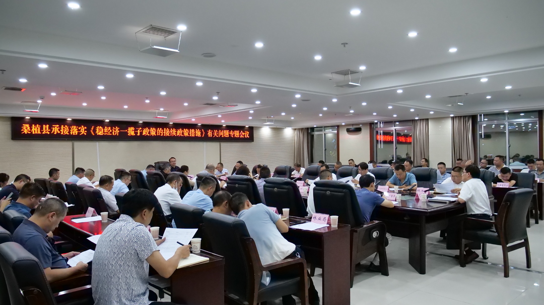 桑植县专题部署研究承接落实稳经济一揽子政策的接续政策措施有关工作