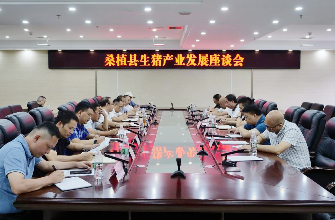 桑植县生猪产业发展座谈会召开