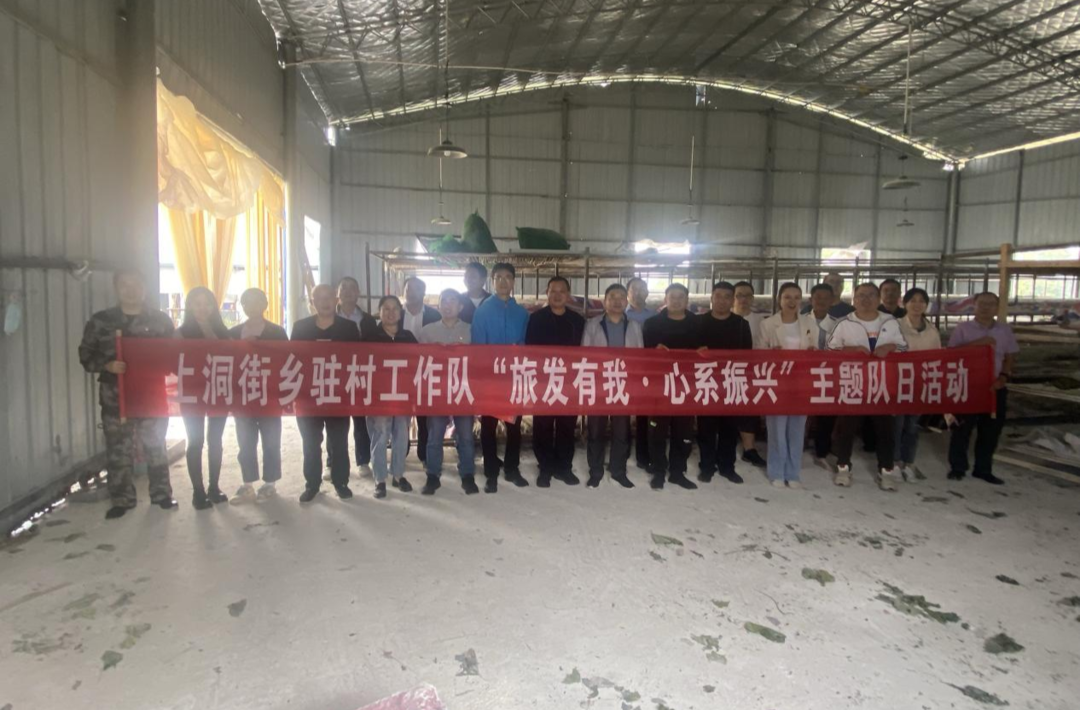 上洞街乡开展形式多样主题队日活动